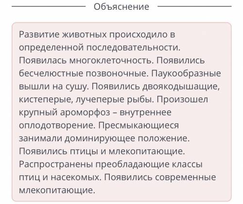 Определи порядок развития животных на Земле. Появилась многоклеточность.Появились бесчелюстные позво