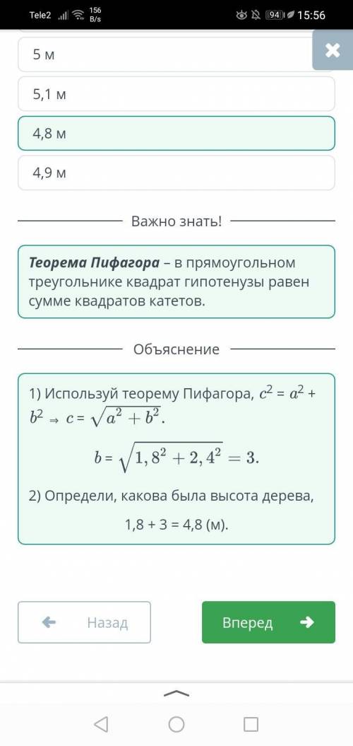 Чтобы дерево не упало на рядом стоящий дом его вырубили на высоте 2,4м от его основания. Когда дерев