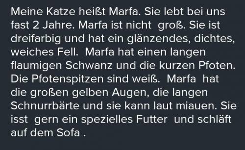 Написать на німецькій мові розповідь про улюблену тваринку ​