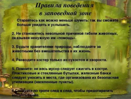 Составьте расписание правил поведения в парке, заповеднике, заповеднике.​