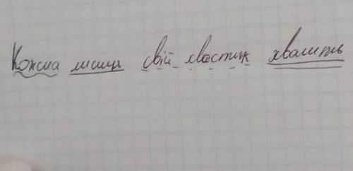 Синтаксичний розбір Кожна лисиця свій хвостик хвалить​