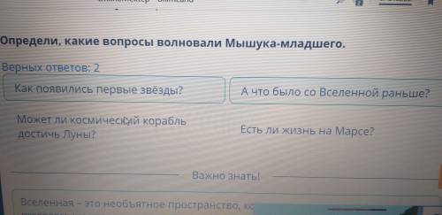 определи, какие вопросы волновали Мышука младшего? 2 ответа. 1 может либо космический корабль достич