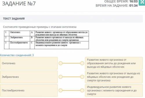 Соотнесите приведенные примеры с этапами онтогенеза: 1 Онтогенез А Развитие живого организма от обра