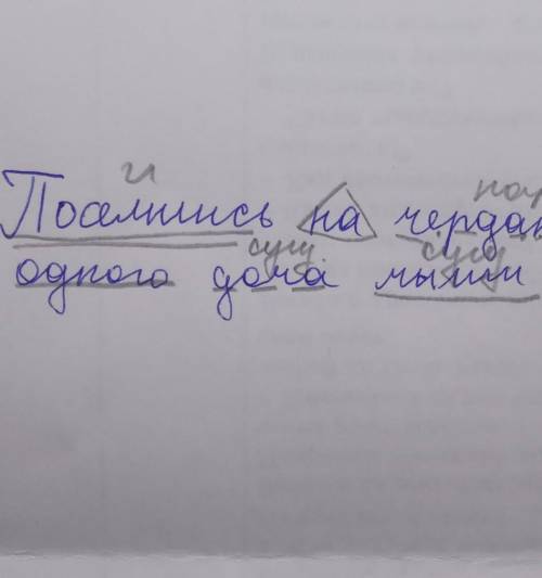 Синтаксический разбор предложения:поселились на чердаке одного дома мыши