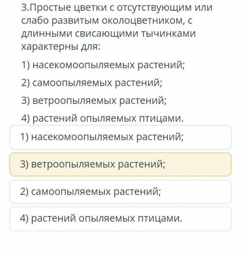 3.Простые цветки с отсутствующим или слабо развитым околоцветником, с длинными свисающими тычинкамих