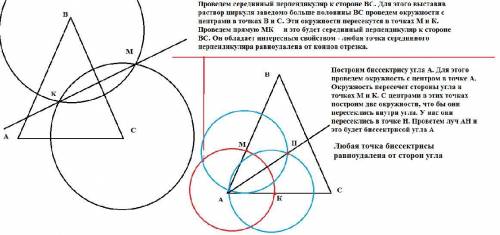 Постройте остроугольный треугольник и проведите биссектрису любого угла и серединный перпендикуляр к