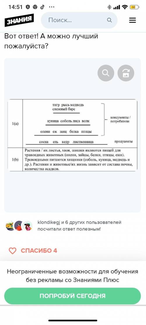 Определите трофические группы экосистемы (продуценты, консументы, редуценты) ( )  2.Составьте одну и