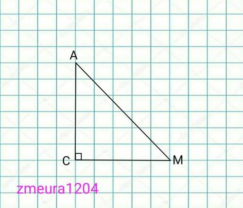 У трикутнику АСМ кут С – прямий. Як називається сторона АМ? Як називаються сторони СА і СМ?