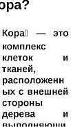 Что такое кора «Хозяйственная жизнь кочевников У МЕНЯ СОЧ УМАЛЯЮ​