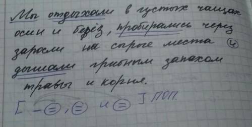 Мы отдыхали в густых чащах осин и берёз, пробирались через заросли на сырые места и дышали грибным з