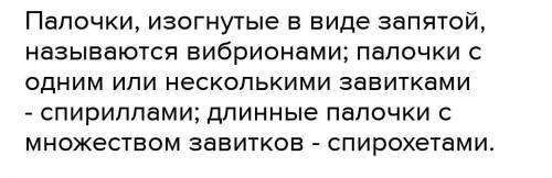 . На рисунке показаны формы бактерий. Определите под какими буквами обозначены бацилла , кока,спирил