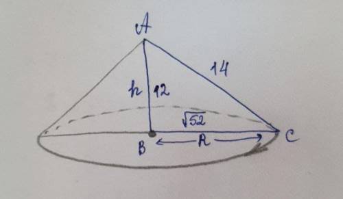 Прямоугольный треугольник с катетом 12 см и гипотенузой 14 см вращается вокруг большего катета.Выпол
