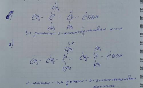   13.  Напишіть структурні формули амінокислот:а) 3-аміно, 2,2,3 – триметилпентанова кислота;б) 2-ам