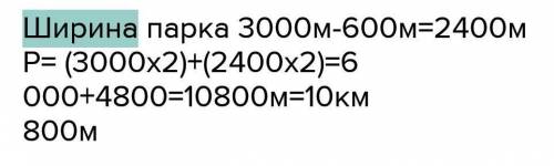 с задачей! Парк имеет прямоугольную форму. длина 80, а ширина 20 м., 3/5 парка занимают отракционы а