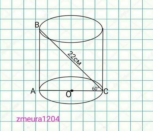 диагональ осевого сечения цилиндра равен 22 см и наклонена к плоскости основаня под углом 60° .найди