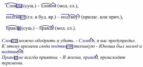 Подберите примеры или придумайте свои предложения, в которых данные словоформы отличались бы своим м