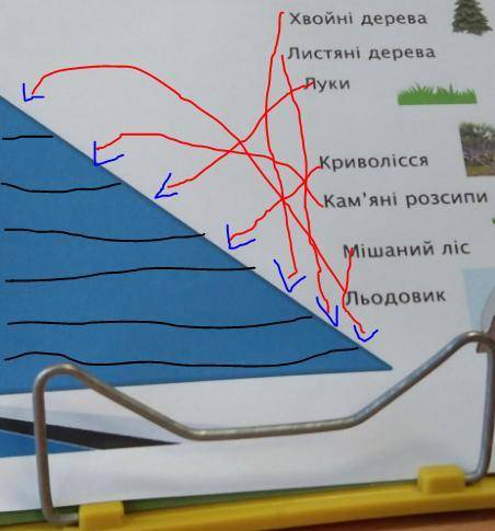 Розмістіть рослинні угрупування від підніжжя до вершиниХвойні дереваЛистяні дереваЛукиКриволіссяКам'