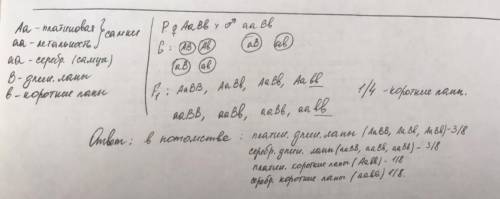 3. У лисиц доминантный ген в гетерозиготном состоянии обуславливает платино- вую окраску меха, а в г