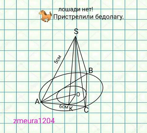 Сторона основания правильно треугольной пирамиды равна 6см, а боковое ребро 5см. Найдите лошадь полн