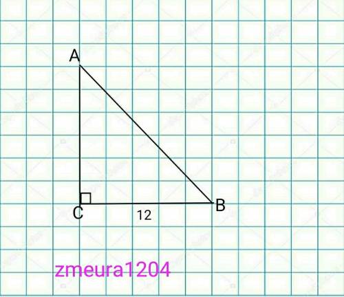 В треугольнике abc угол c=90 градусов bc=12, tg b=1/3 найти ab​