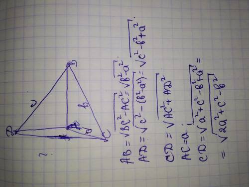 Из точки А построены три взаимо перпендикулярных отрезка AB, AC и AD. Найдите длину отрезка CD если