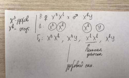 Отсутствие потовых желез рецессивный сцепленный с x-хромосомой признак нормальная женщина выходит за