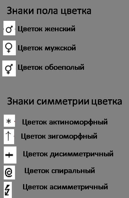 Формула цветка семейства зверобойные: Ca? Co? A? G?