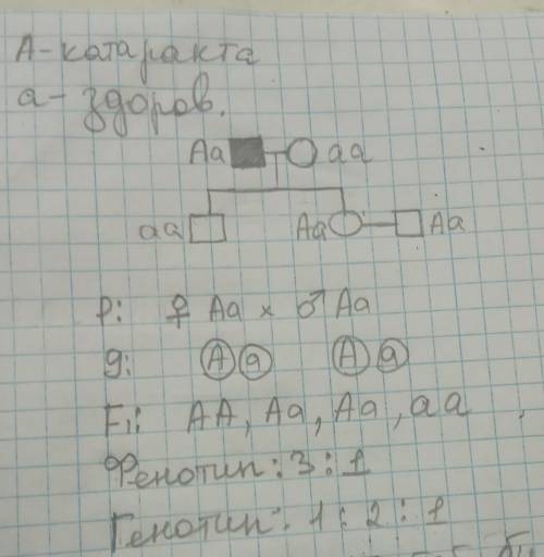 Пробанд болен врожденной катарактой. Он состоит в браке со здоровой женщи- ной и имеет больную дочь