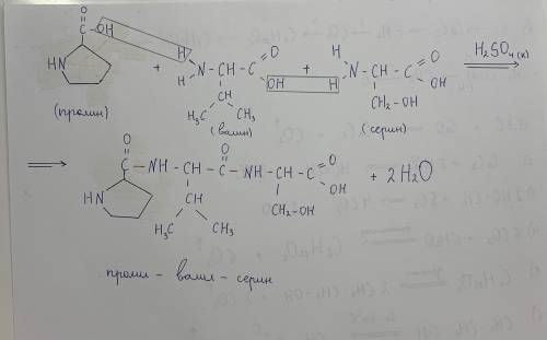 Написать реакцию образования пептида пролил-валил-серин.