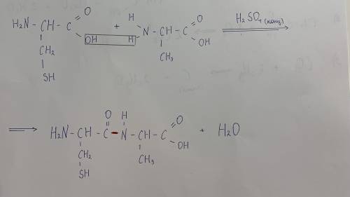 Нужна в задании. Напишите уравнение реакции получения дипептида, состоящего из аминокислот метионина