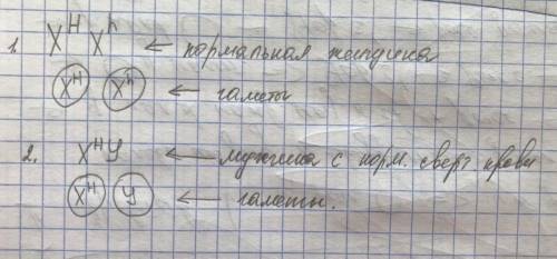 У человека рецессивный ген (h) гемофилии локализован в х-хромосоме: 1. Какие типы гамет образует жен