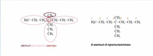 Структурная формула и название по IUPAC метилтрипропилметана