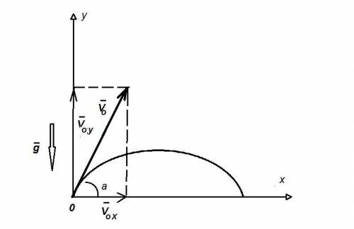Доказать, что верно равенство Vy=V0*sin a-gt, где V0- вектор скорости тела брошенного к горизонту, a