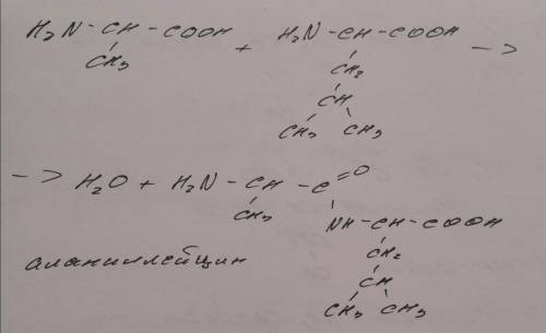Решите уравнения) также нужно придумать 2 уравнения с любыми другими аминокислотами