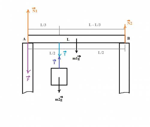 Однородная балка длиной `l` и массой `m_1=200` кг лежит горизонтально, опираясь концами на две опоры