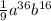 \frac{1}{9}a^{36}b^{16}