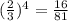 ( \frac{2}{3} )^{4} = \frac{16}{81}