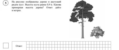 Ответ дайте ............