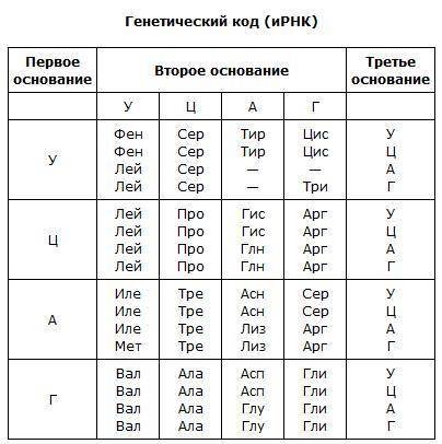 нужна Фрагмент молекули ДНК має таку послідовність нуклеотидів: А-Ц-Г-Т-Ц-А-Т-Т-Г. Визначте послідов