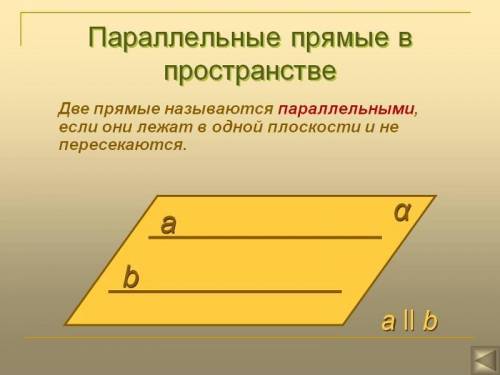 Чем они отличаются между собой параллельные и перпендикулярные прямые?