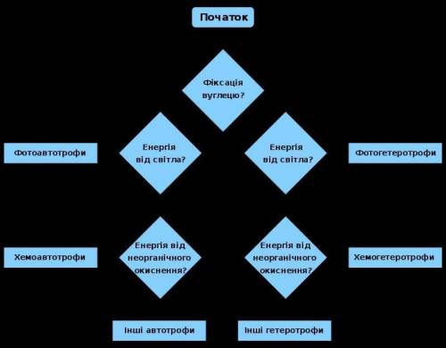 Склади схему «Гетеротрофи».