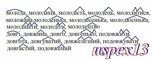 Найти спильнокореневі слова к Молода и Довгі з різними суфіксами.