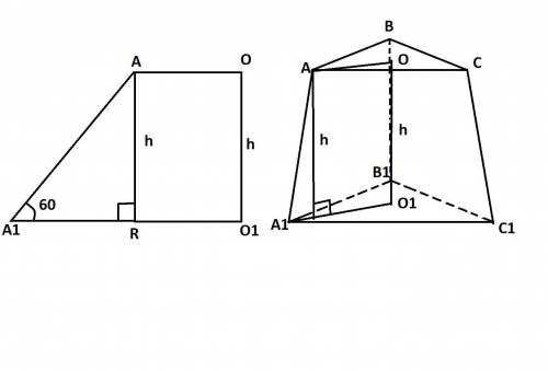 Дана правильная трёхугольная усеченная пирамида с основаниями 2см и 6см. Между боковым ребром и осно