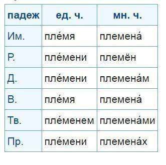 1. К разносклоняемым относятся имена существительные: 1) ж.р. с нулевым окончанием; 2) ср.р. на – мя