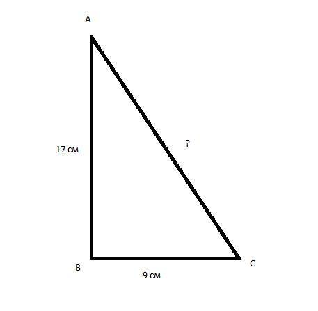Найдите гипотенузу прямого триуголника если катеты соответственно равны 9см и 17 см нужен ЧЕРТЕЖ ДОН
