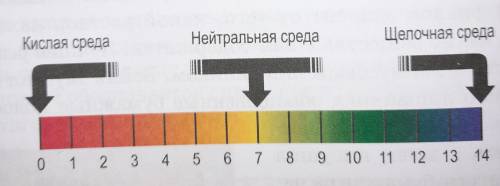 Задание 4 Как изменяется цвет индикатора дамуса в неке предложенных растворах, определите среду раст