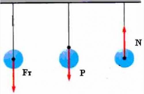 На рисунке 14.6 изображены висящие на нити шары. Пере- несите рисунок в тетрадь и обозначьте показан
