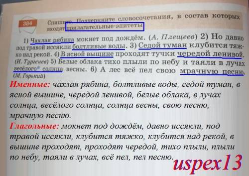 Можете поделить эти предложения на именные словосочетания и на глагольные