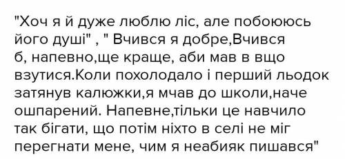 Цитати про природу з твору Гуси лебеді летять