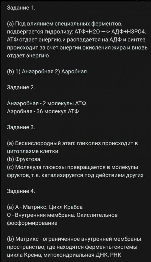 Цикл Кребса происходит в матриксе митохондрий. На рисунке представлены стадии цикла Кребса. А) Испол